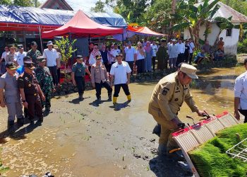 Dukung Ketahanan Pangan Nasional, Bupati Maros ikut Tanam Padi Serentak di 14 Provinsi