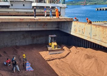 Bea Cukai Parepare Dukung Ekspor Bungkil Inti Sawit ke Korea Selatan